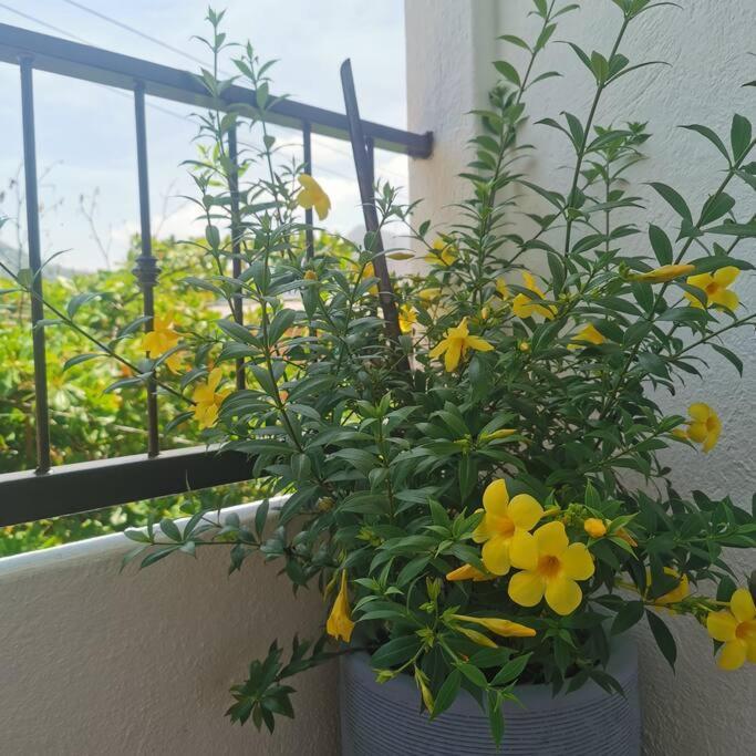 1 Bedroom Apt With Ac , Tv , Wi-Fi Near Dt And Beach ซีฮัวตาเนโค ภายนอก รูปภาพ
